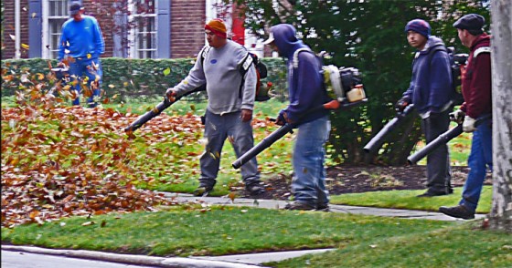 5 guys with leaf blowers